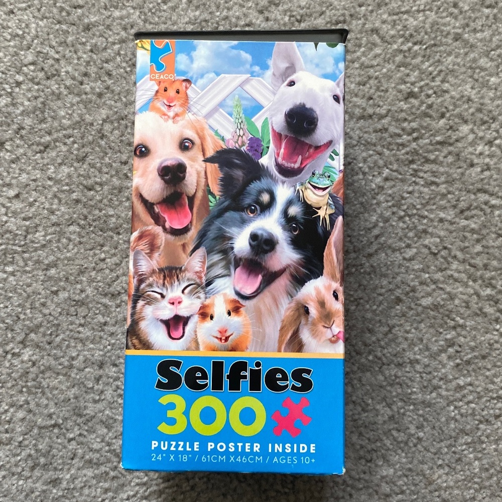 300 pieces puzzle gifts